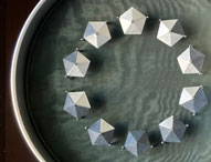 Moon Phases Night