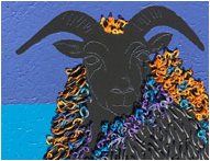 Black Sheep